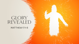 Glory Revealed
