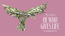 The Spirit: He Who Gives Life