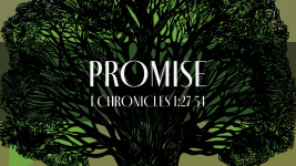 Promise