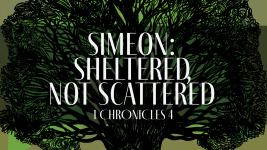 Simeon: Sheltered, not Scattered
