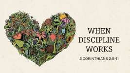 When Discipline Works