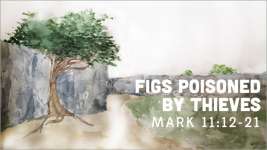 Figs Poisoned by Thieves