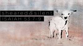 Sheared and Silent