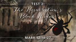 Test 2: The Resurrection's Black Widow