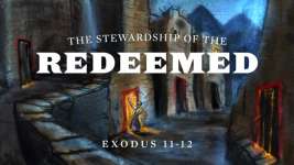 The Stewardship of the Redeemed