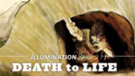 Death to Life (Illumination Part 2)