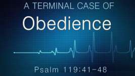 A TERMINAL CASE OF OBEDIENCE