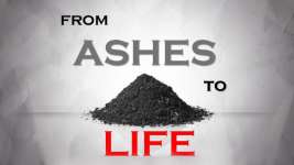 FROM ASHES TO LIFE