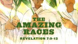 The Amazing Races