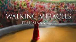 Walking Miracles