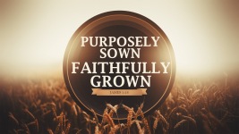 Purposely Sown, Faithfully Grown