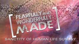 Fearfully and Wonderfully Made