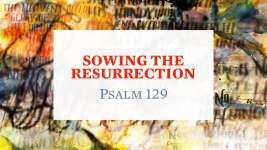 Sowing the Resurrection