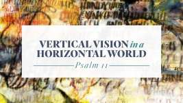 Vertical Vision in a Horizontal World